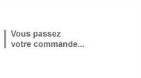 Vous passez votre commande...